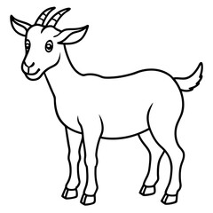 vector illustration of a goat