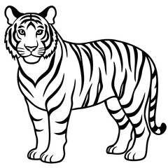 white tiger vector