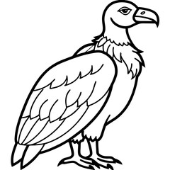 eagle isolated on white