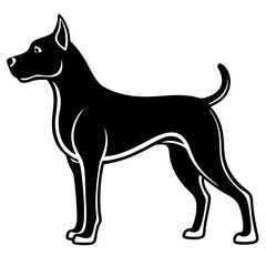 black dog isolated on white background