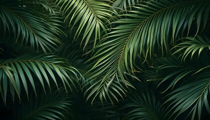 "Tropical Palm Leaves Background for Fresh, Nature-Inspired Design Projects"