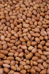 Premium Quality Raw Natural Brown Peanuts Without Shell