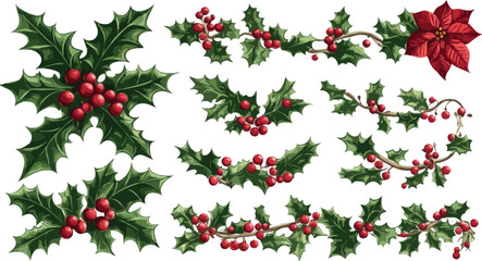 Holly berry florals are used to create decorative frame dividers for winter holiday decorations and invitation cards, as well as borders and delimiters for Christmas and weddings