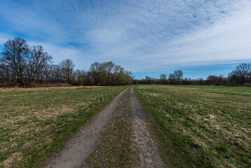 Trail on meadow with trees on the background and beautiful sky during early springtime