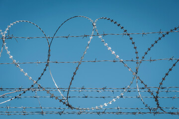 Barbed wire against a clear blue sky reveals a stark contrast between nature and human boundaries...