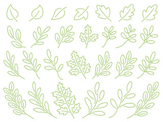 緑の葉と枝の線画イラストセット