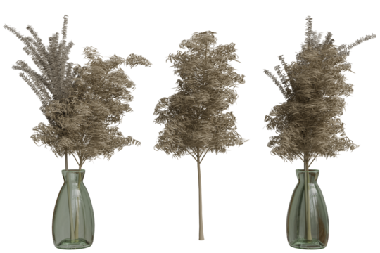 Decorative dried pampas grass in vases.  A neutral, earthy toned bunch of dried flower arrangements