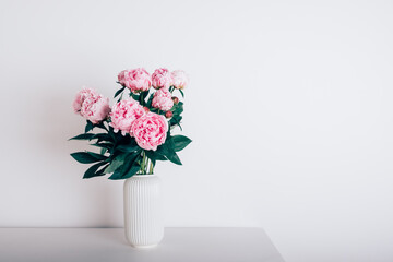 Beautiful bouquet of pink peony flowers in full bloom in vase against white background. Copy space for text.