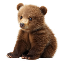 Fototapeta premium Cute and Adorable Brown Bear Cub Sitting on Transparent Background