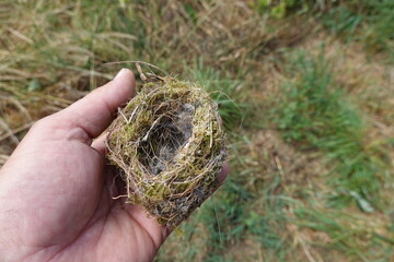 small empty bird's nest made of moss held by man's hand