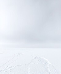 Fototapeta premium Arctic Whisper