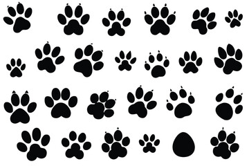 Fototapeta premium Vector illustration of Various Dog Paw Prints black and white.