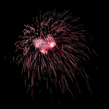 Colorful celebration fireworks isolated on black sky background.