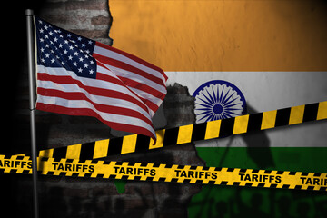 the impact of the American trade war on india