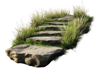 Rock step lead upward, seemingly hopeful and optimistic in nature
