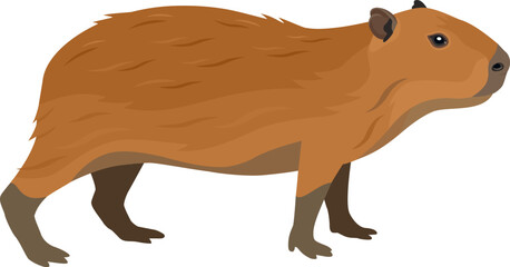 Capybara Vector illustration Isolated object.eps