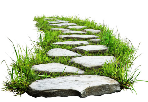 Stone path winding through grass, feels peaceful and inviting