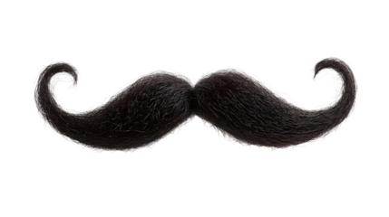 Professional Black Curly Mustache and Beard Isolated on Transparent Background Portrait Image