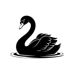 Black Swan Silhouette in Water, Vector Illustration