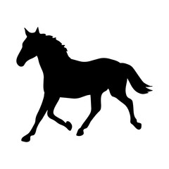 Dynamic Equine Symbol Vector Illustration of Silhouetted Rearing Horse Icon