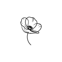 Simple Black Poppy Flower Line Art on White Background