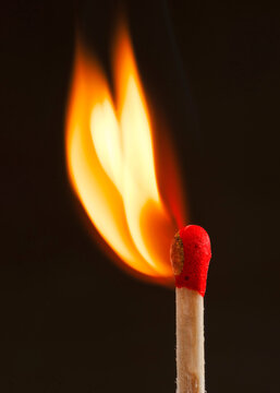 Close up of a matchstick burning with vivid orange flame