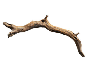 Fototapeta premium Weathered Driftwood Branch on Transparent Background, PNG