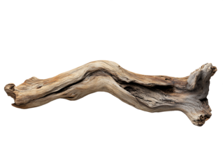 Weathered Light Brown Curved Driftwood Piece on Transparent Background, PNG