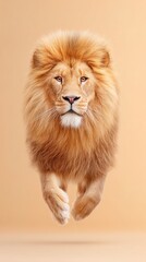 Lion floating gracefully in mid-air against soft background