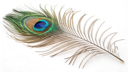 Obraz premium Peacock Feather Close-Up with Vibrant Blue and Green Eye Pattern