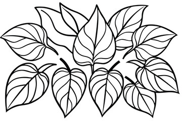 Hosta Leaf Line Art Illustration Simple Creative Design for Artwork  
