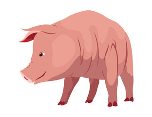 Pig set flat cartoon isolated on white background. Pink pig vector illustration