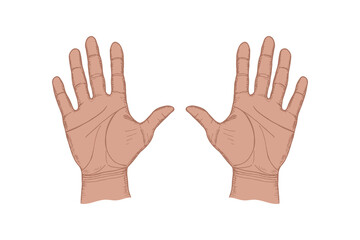 Open palms of hands sketch drawing illustration. Hand drawn vector line art clipart in engraving style, diversity, greeting, support, protect concept