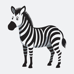  Zebra vector art and illustration art.