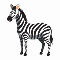 Zebra vector style illustration.