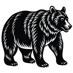 Wild bear vector illustration, a silhouette of a big mammal