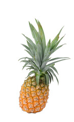 Fototapeta premium Whole pineapple with leaves on transparen png.