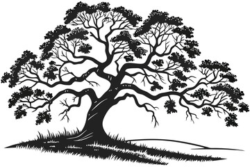 91 Black and white silhouette, majestic oak tree, sprawling branches, detailed foliage, symmetrical composition, strong contrast, intricate leaf patterns, wide trunk, grassy ground, serene landscape, 