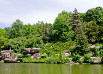 Scenic rocky hillside covered in lush greenery by forest lake in summer