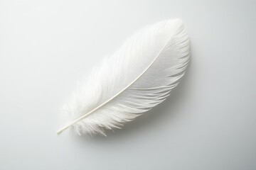 Obraz premium Delicate white feather against a soft grey background showcasing intricate detail and subtle texture