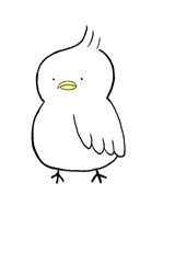 tupippi (つぴっぴ)