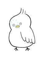 tupippi (つぴっぴ)