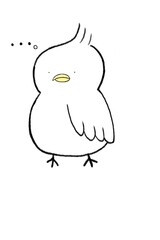 tupippi (つぴっぴ)