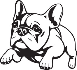 French bulldog. Hand drawn vector illustration	