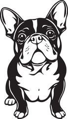 French bulldog. Hand drawn vector illustration	