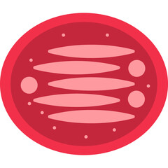 Cardiac Progenitor Cell Icon