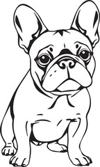 French bulldog. Hand drawn vector illustration	