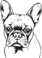 French bulldog. Hand drawn vector illustration	