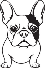 French bulldog. Hand drawn vector illustration	