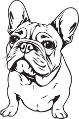 French bulldog. Hand drawn vector illustration	